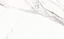 ARCTIC STONE WHITE GLOSSY 25X40