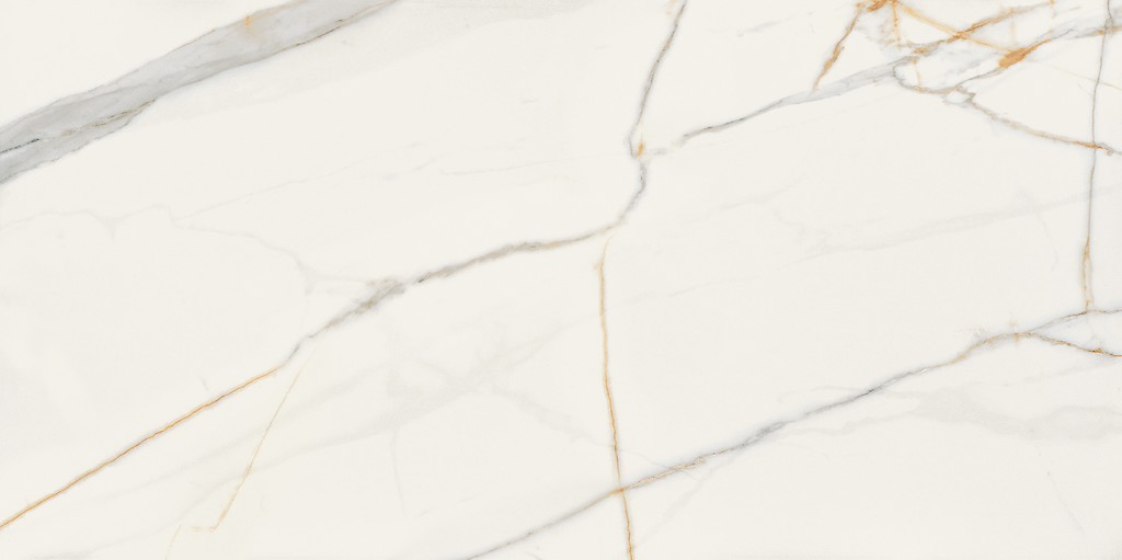 EXCLUSIVE MARBLE WHITE POLISHED 60X120 G1 (NT1477-002-1), where to 